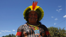 FAO oferece oportunidades de estágio de trabalho para indígenas