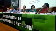 Consea debate direitos humanos, segurança alimentar e nutricional e proteção social
