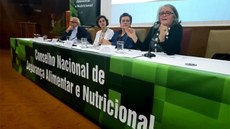 Especialistas debatem trajetória de enfrentamento da pobreza