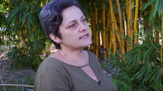 #Eufiscalizo: temos tecnologia mais adequada do ponto de vista ambiental, defende Consea