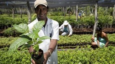 Órgãos federais de 8 estados têm chamadas públicas abertas para agricultura familiar