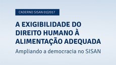 Publicado documento sobre Exigibilidade do Direito Humano à Alimentação Adequada