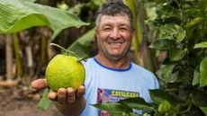 Quintais produtivos alimentam famílias agricultoras, mostra reportagem da ASA