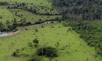Presidente atualiza normas sobre regularização fundiária em áreas rurais da Amazônia Legal e do Incra