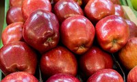 Decreto cria Banco de Alimentos para melhorar eficiência na distribuição alimentar