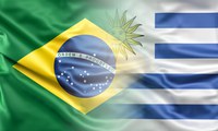 Decreto promulga protocolo de acordo comercial entre Brasil e Uruguai