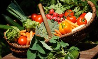 Decreto reestrutura a Câmara Interministerial de Segurança Alimentar e Nutricional