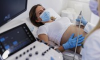 Presidente Bolsonaro sanciona lei que facilita assistência médica para grávidas e puérperas durante pandemia