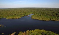 Decreto inclui Ministério de Minas e Energia no Conselho Deliberativo do Sistema de Proteção da Amazônia