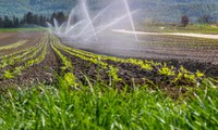Decreto qualifica empreendimentos hidroagrícolas e de irrigação no PPI