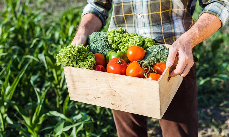 Marco de Securitização.jpg