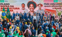 Governo retoma política nacional de agroecologia e produção orgânica
