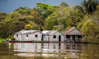 Sociedade civil debaterá, em Belém, pautas para apresentar à Cúpula da Amazônia