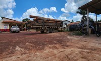 Madeira ilegal é apreendida nas imediações da Terra Indígena Alto Rio Guamá