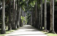 Secretaria-Geral cria Grupo de Trabalho para analisar controvérsias no perímetro do Instituto de Pesquisas Jardim Botânico do RJ