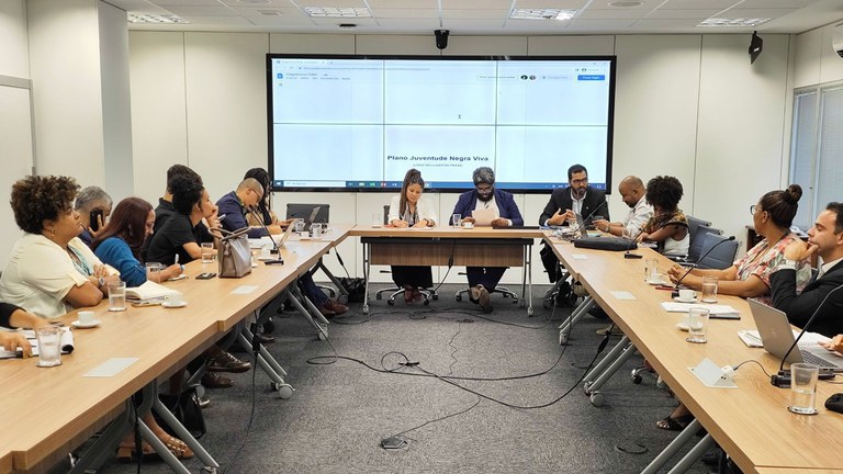 plano juventude negra viva.jpeg