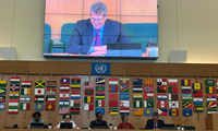 Ministro Márcio Macêdo fala sobre combate à fome em evento da FAO