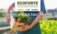 Com mais de R$ 70 milhões, ECOFORTE fomenta redes de agroecologia, extrativismo e produção orgânica