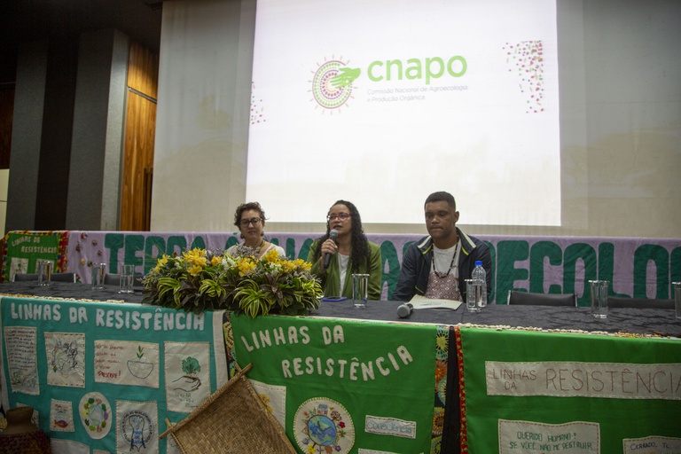 27ª Reunião Ordinária da Comissão Nacional de Agroecologia e Produção Orgânica (CNAPO)