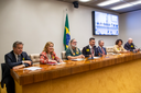 Foto - Élio Rizzo JR/ Câmara dos Deputados