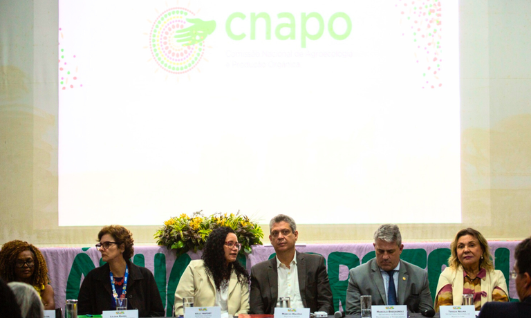 Foto para site SG.png