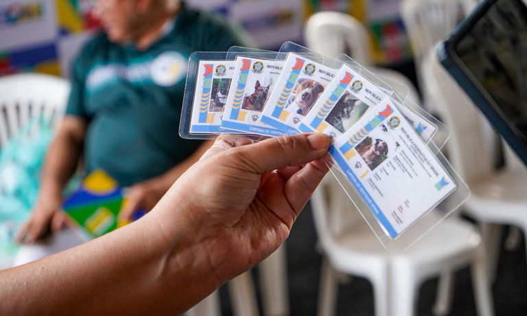 Foto para site SG 3.png