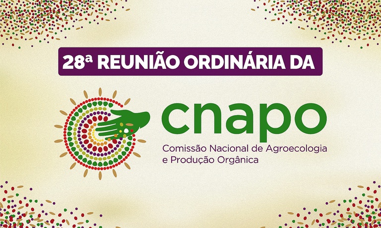 WhatsApp Image 2025-07-03 at 11.15.05.jpeg