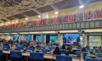 Consea participa da 53ª Sessão Plenária do Comitê de Segurança Alimentar Mundial, em Roma
