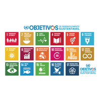 ODS serve pra quê? Assista o vídeo e fique por dentro