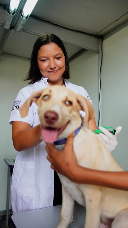 WhatsApp Image 2026-03-14 at 19.07.50.jpeg