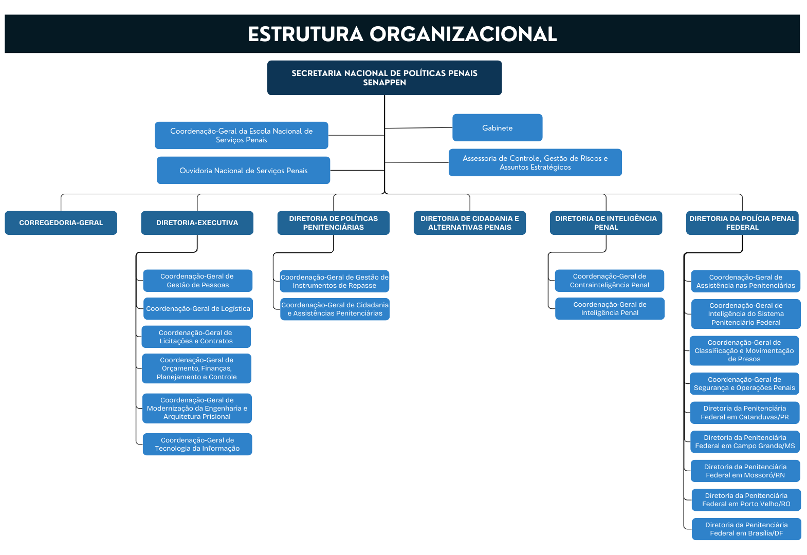 Estrutura Organizacional