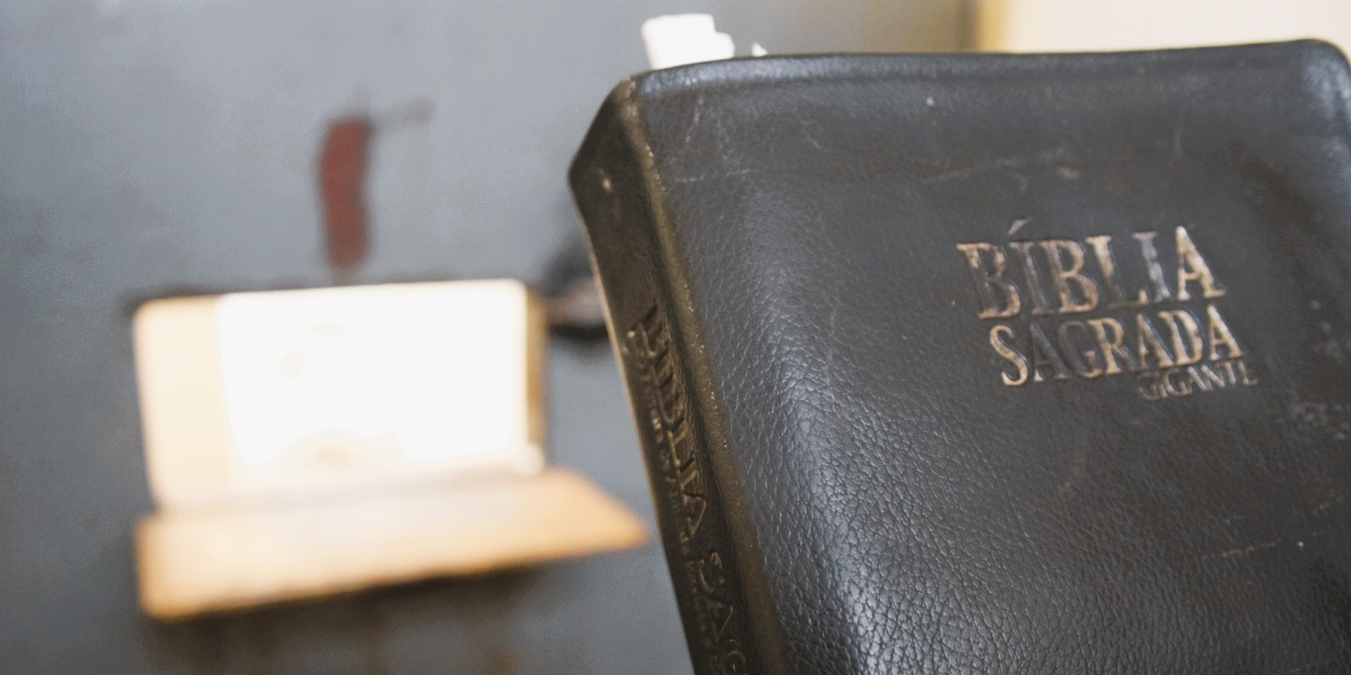 assistência social - spf (5).JPG