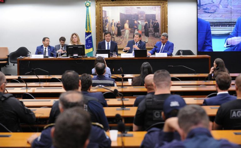 Audiencia publica Camara dos deputados (2).jpg