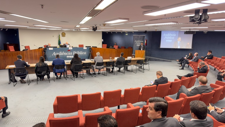 audiencia publica stf (3).jpeg