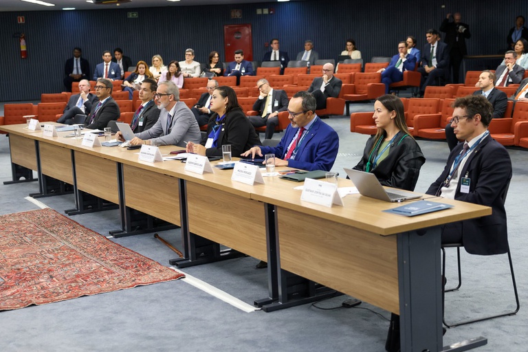 audiencia publica stf (4).jpeg