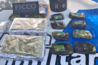 Polícia Penal Federal integra ação da FICCO no Espírito Santo