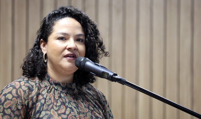 Diretora da DICAP Mayesse Parizi durante a painel da Conferëncia 