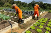 SENAPPEN destinará R$ 21 milhões para projetos de trabalho prisional da DIRPP nos estados