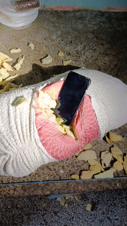 MUTE fase 6 (10).JPG