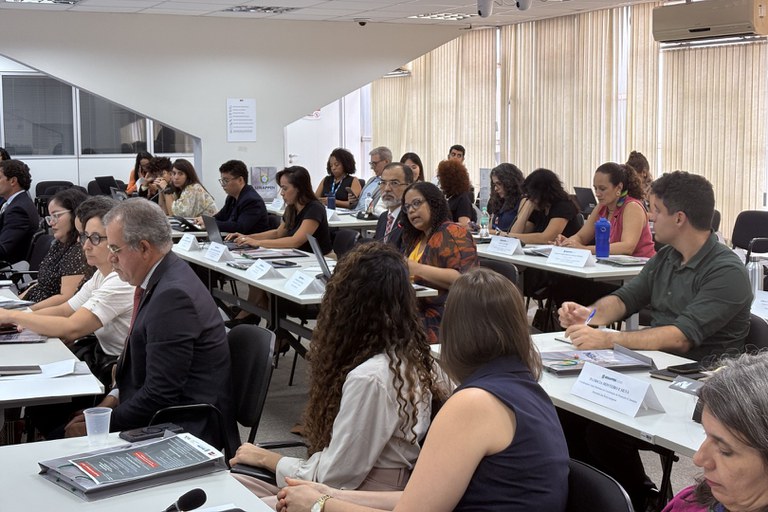 2 ciclo de reuniões interministerais (2).JPG