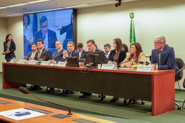 comissão de segurança da câmara dos deputados (1).jpg
