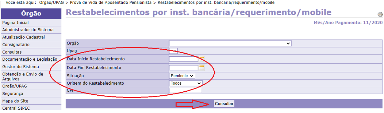 Consulta Restabelecimento Instituição Bancária, Requerimento e mobile