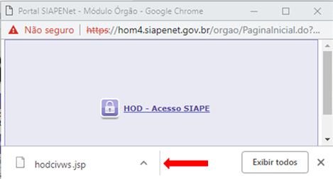 novo HOD 021