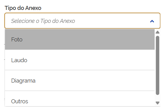 Tela 22 - Tipo do Anexo.png