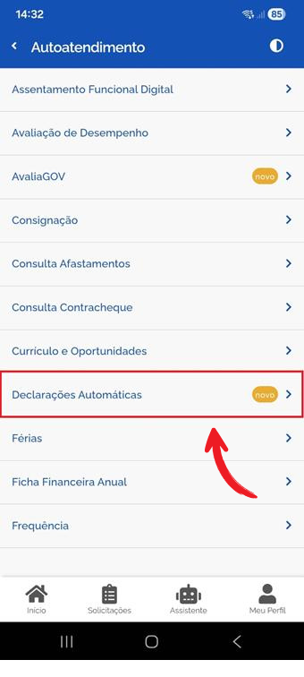 Declarações Automáticas