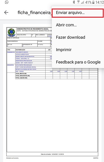 4. Tela4 - FichaFinanceira - PDF - Opcoes - Final