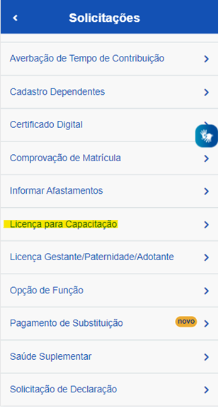 Capacitacao2