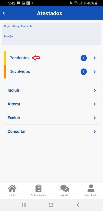 Tela29a - PendentesDevolvidos.jpg