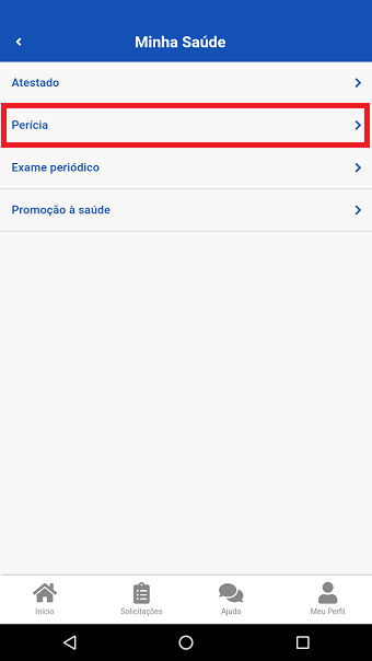 Perícia