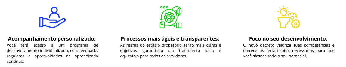 Banner - Estágio Probatório